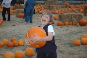 Alex thrilled to bits with the pumpkin he picked out in 2005. It looks almost as big as him!