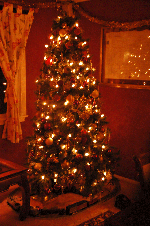 Our Christmas tree in 2004, decorated as ever by Marie-Hélène, with a little help from the local elves.