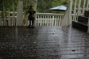 One of the February storms left this coating of hail on the deck, as seen from the French windows in the living room. 